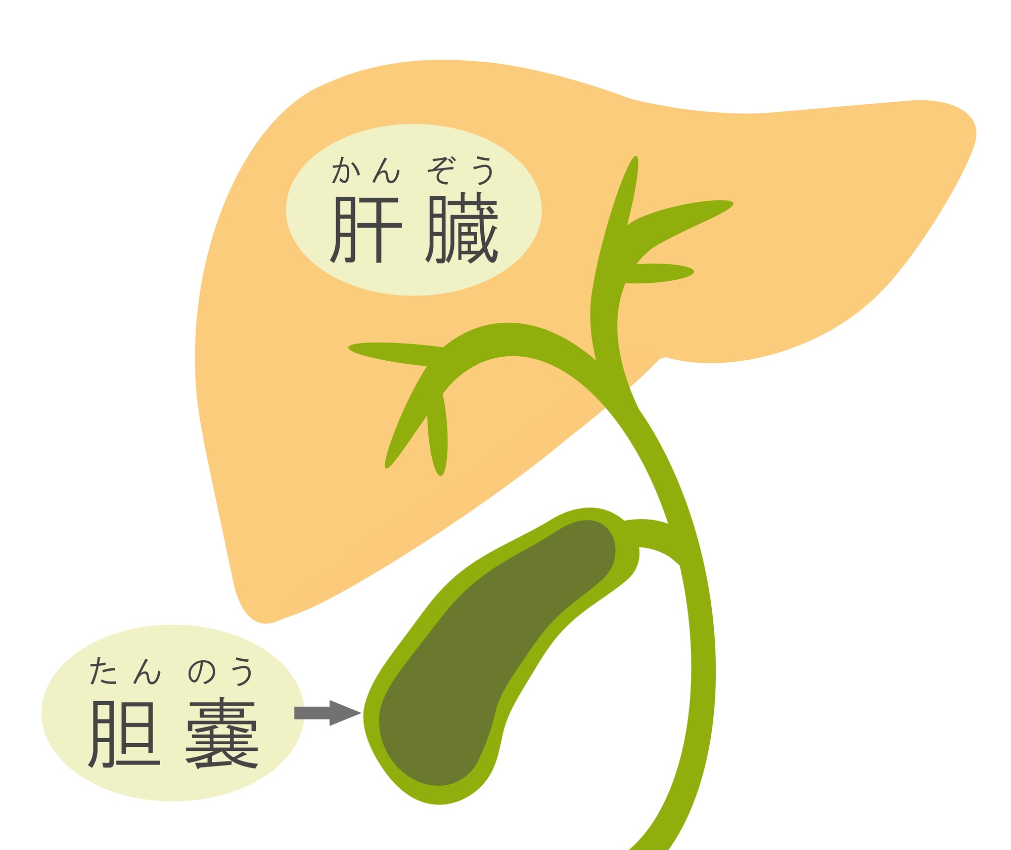 痒みが止まらない…原発性胆汁性胆管炎かも？